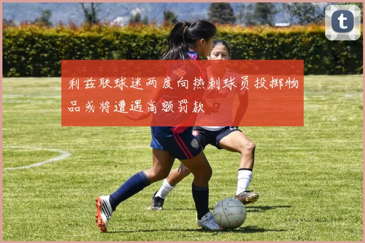 利兹联球迷两度向热刺球员投掷物品或将遭遇高额罚款