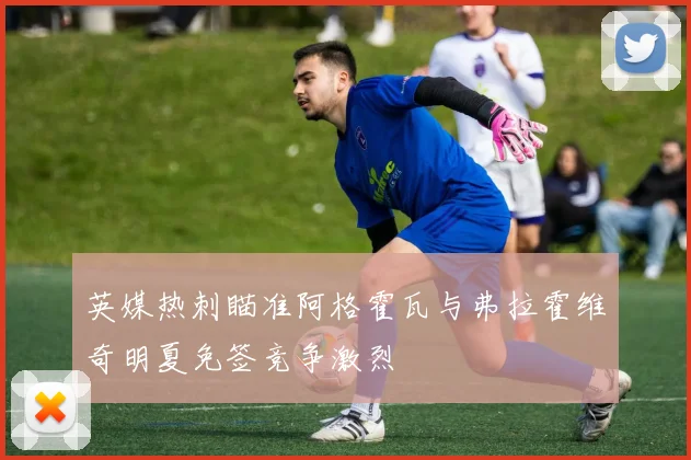 英媒热刺瞄准阿格霍瓦与弗拉霍维奇明夏免签竞争激烈