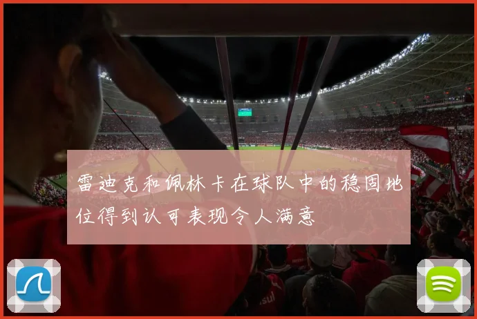 雷迪克和佩林卡在球队中的稳固地位得到认可表现令人满意